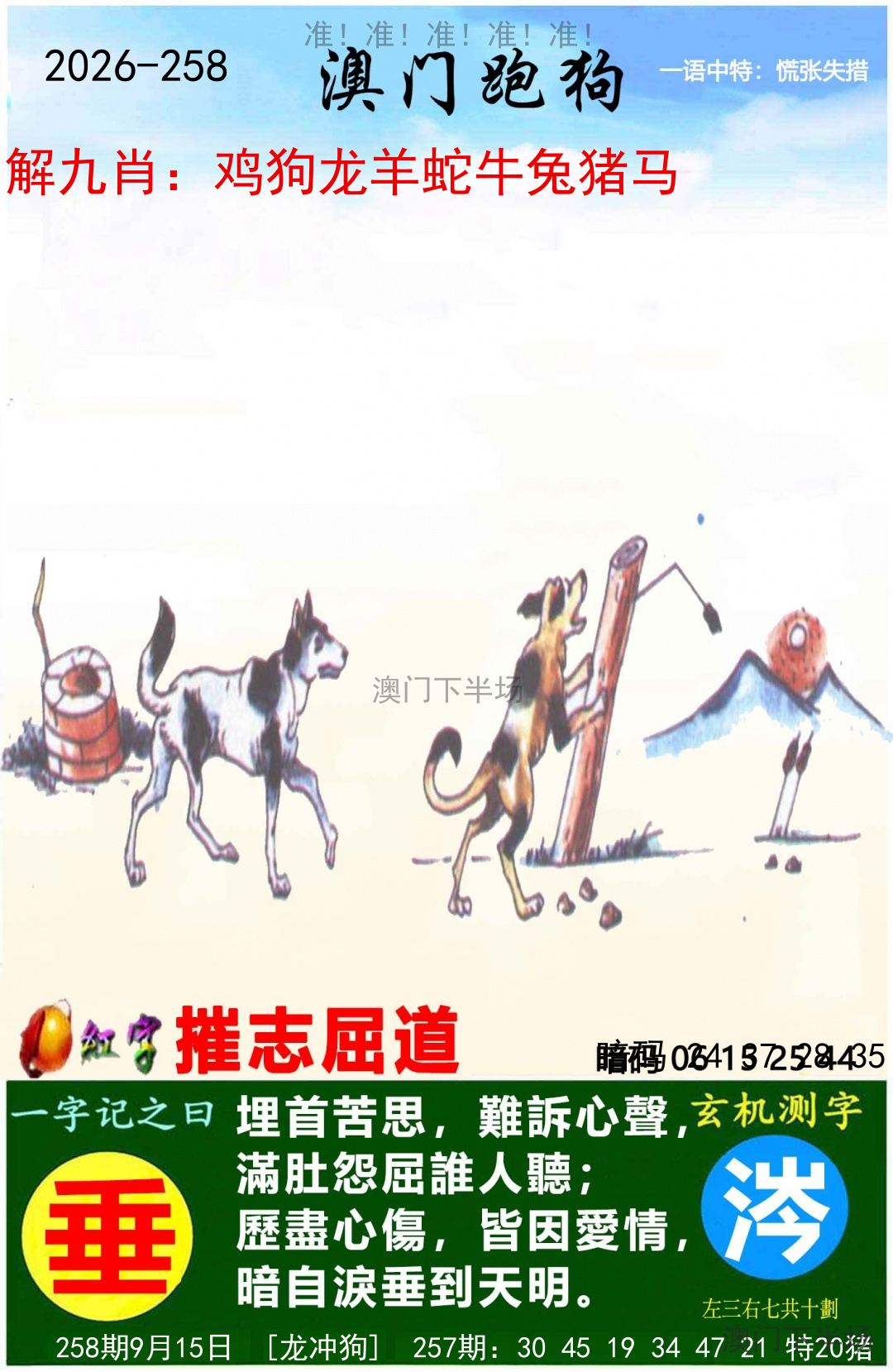澳门跑马