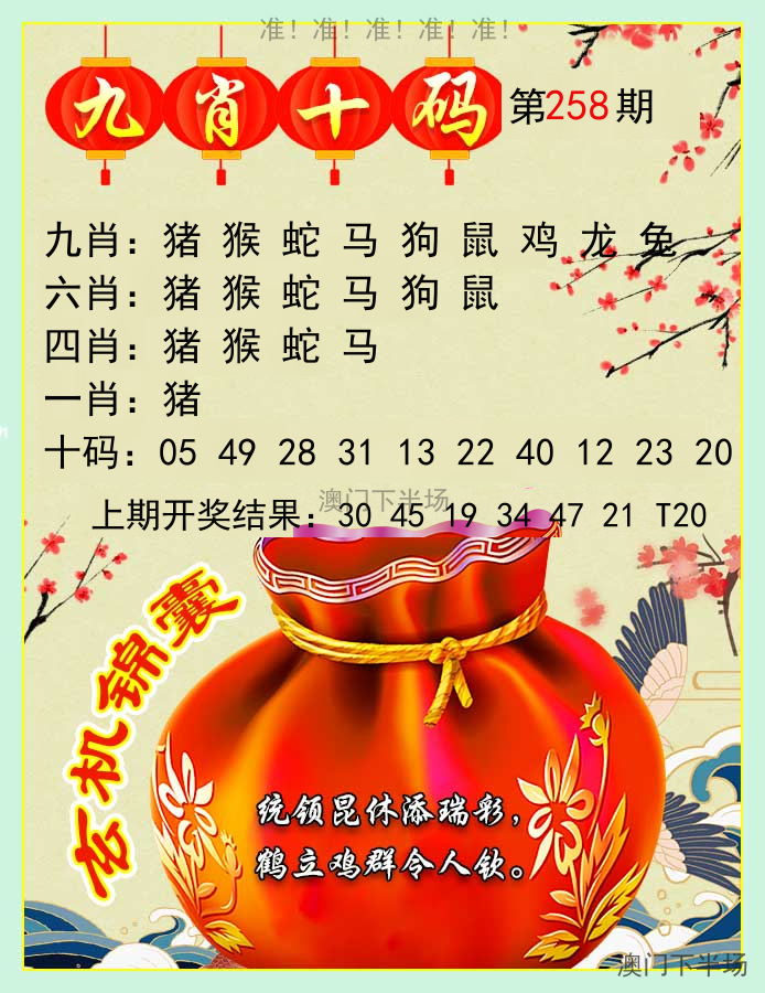 九肖十码